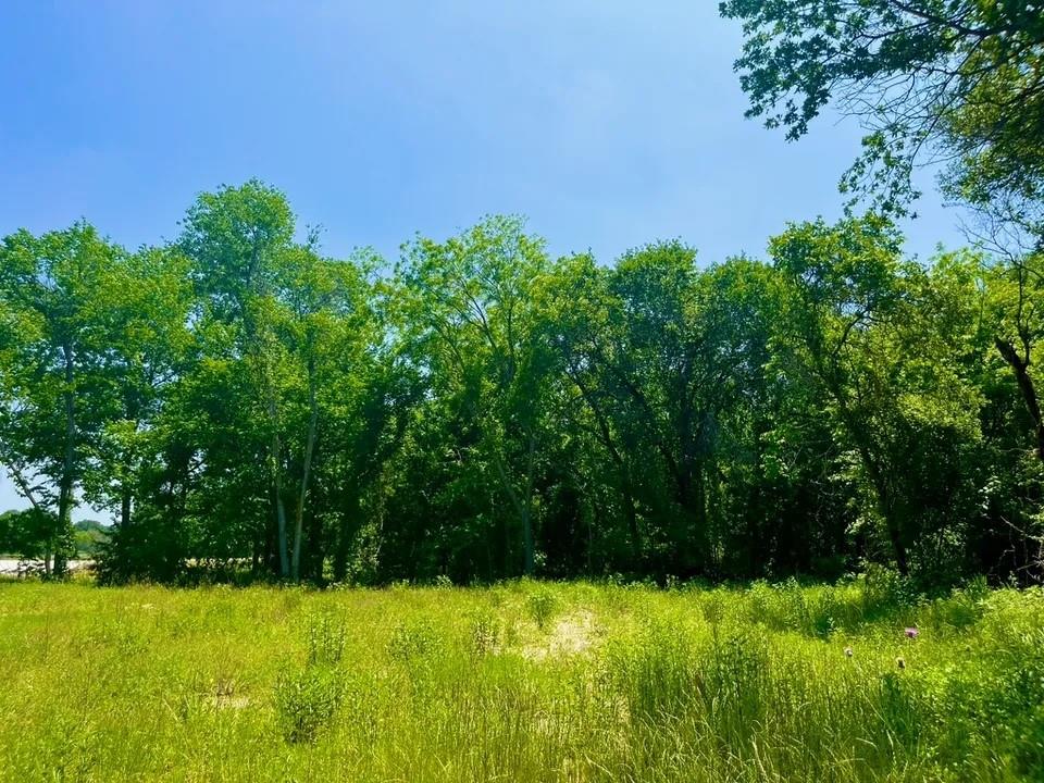 Lot 46 Antrim Ct Property Photo 1