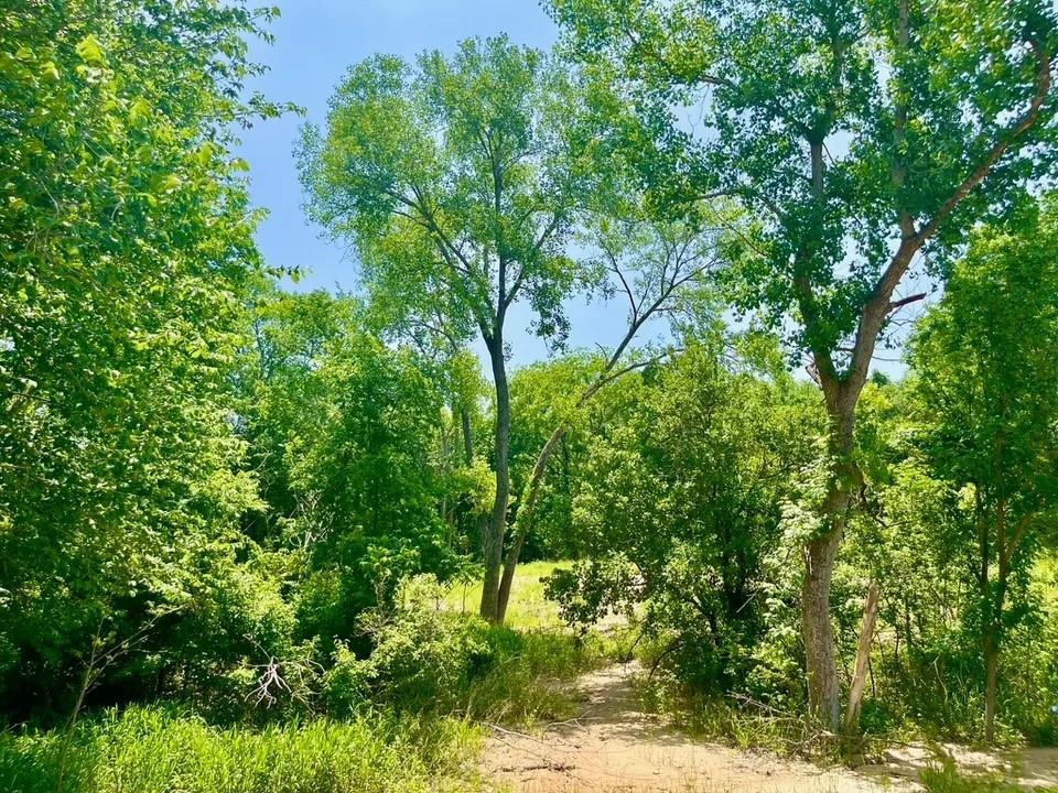 Lot 46 Antrim Ct Property Photo 2