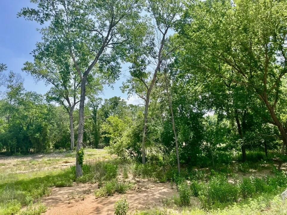 Lot 46 Antrim Ct Property Photo 3