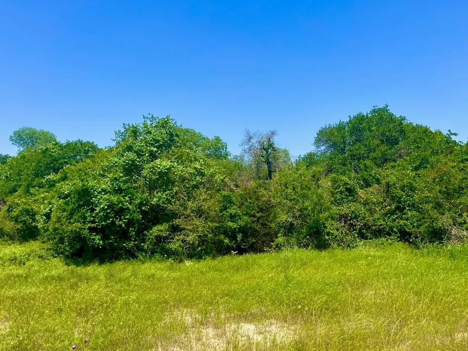 Lot 48 Antrim Ct Property Photo 1