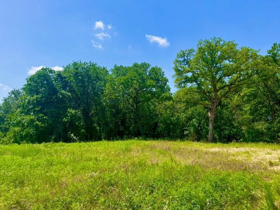 Lot 49 Wicklow Ct Property Photo 1