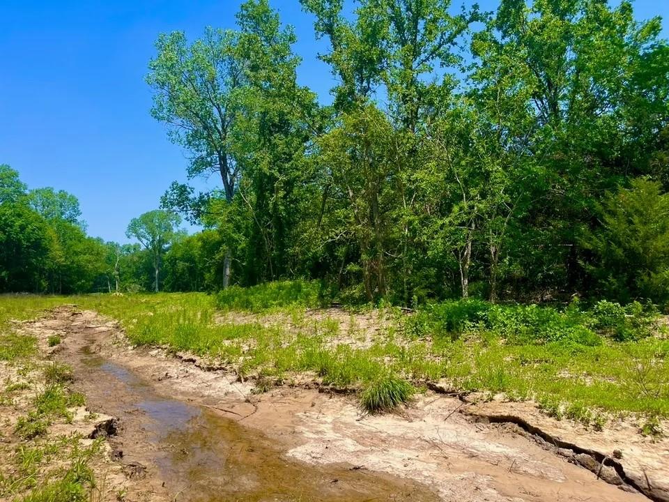 Lot 49 Wicklow Ct Property Photo 2