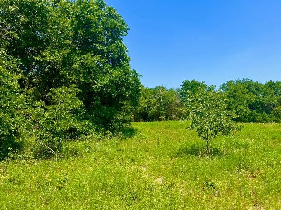 Lot 49 Wicklow Ct Property Photo 3