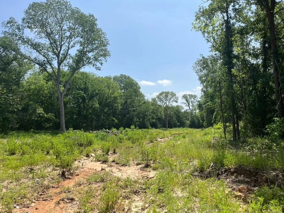 Lot 45 Antrim Ct Property Photo 1