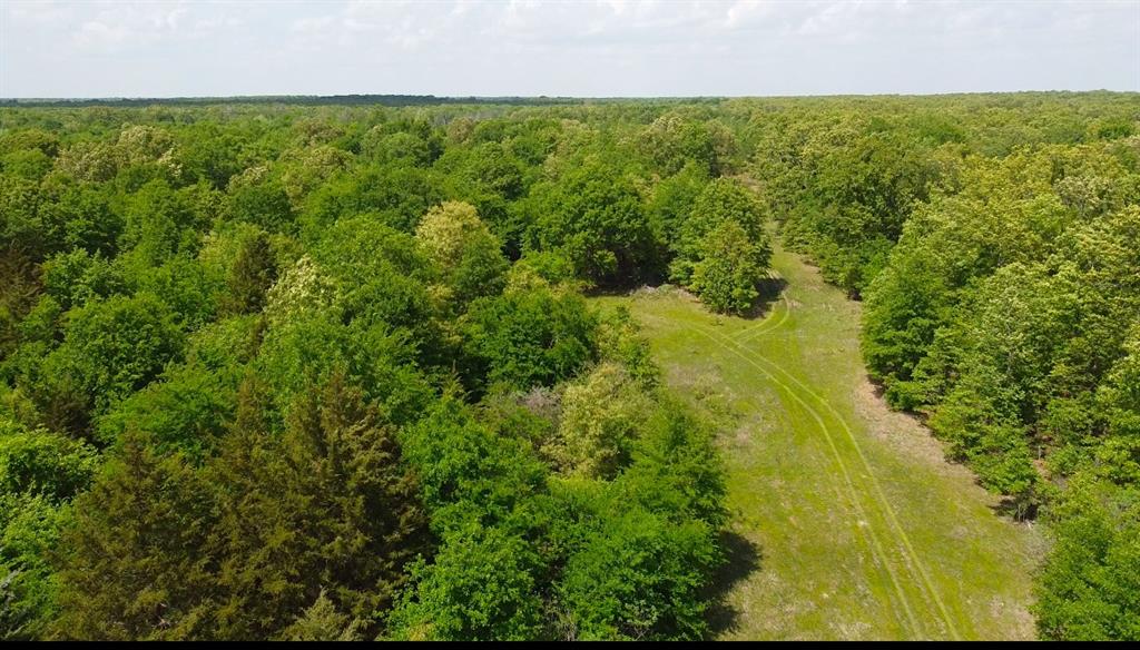 Tbd Country Road 1249 Property Photo 1