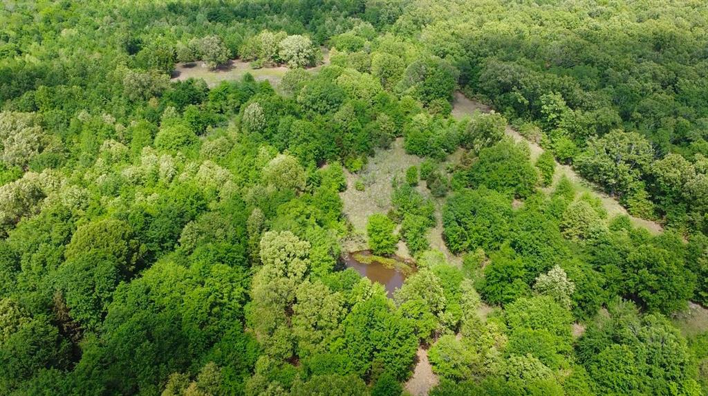 Tbd Country Road 1249 Property Photo 2