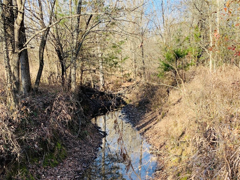 Tbd Country Road 1249 Property Photo 4