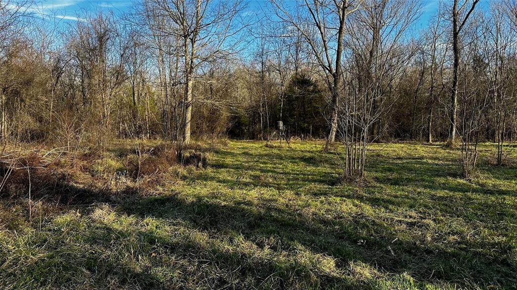 Tbd Country Road 1249 Property Photo 7