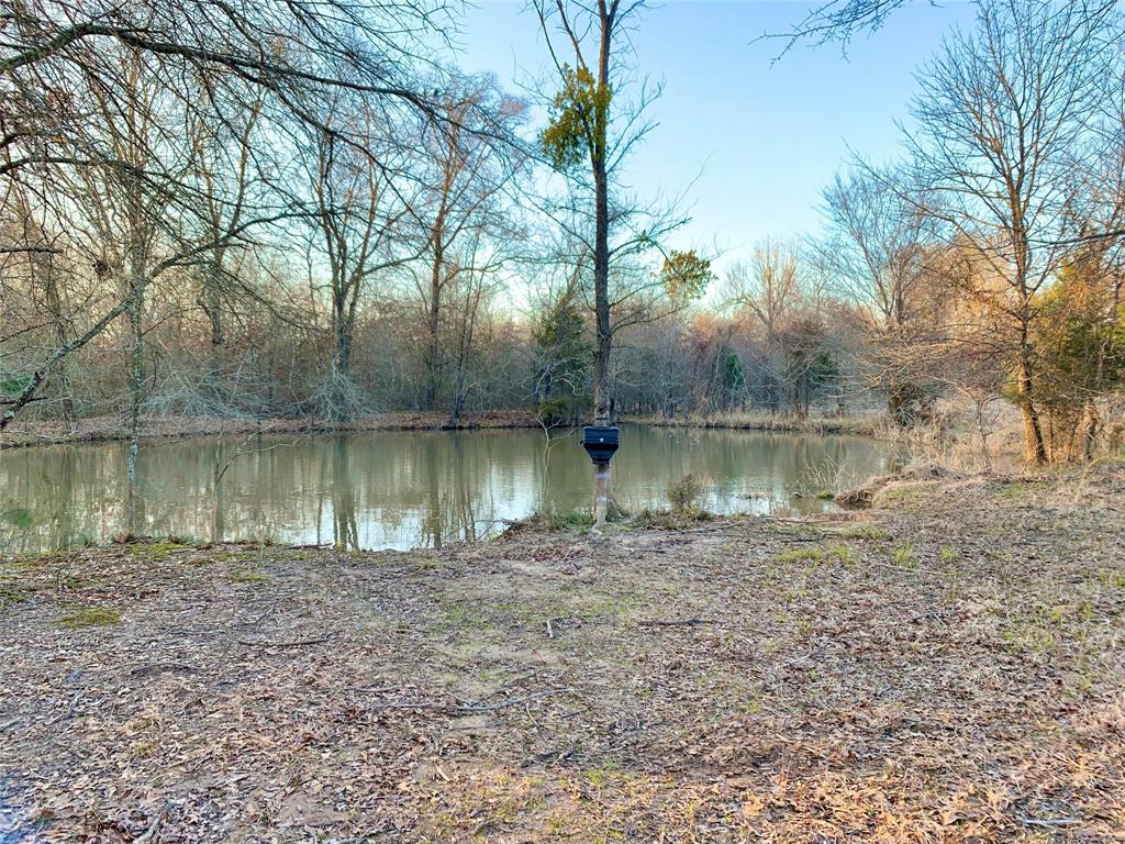 Tbd Country Road 1249 Property Photo 8