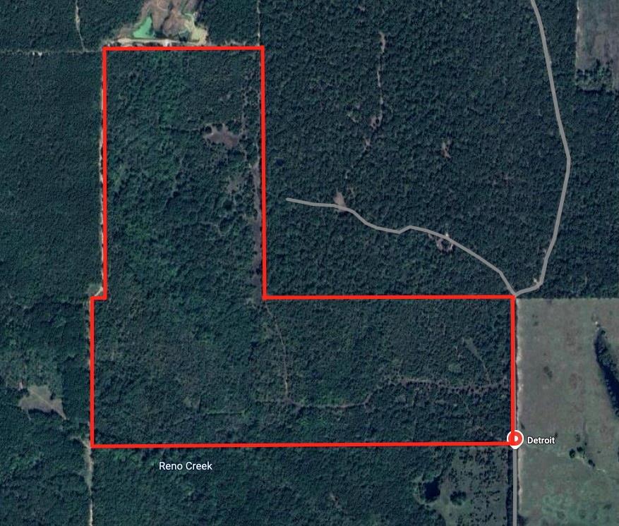 Tbd Country Road 1249 Property Photo 11