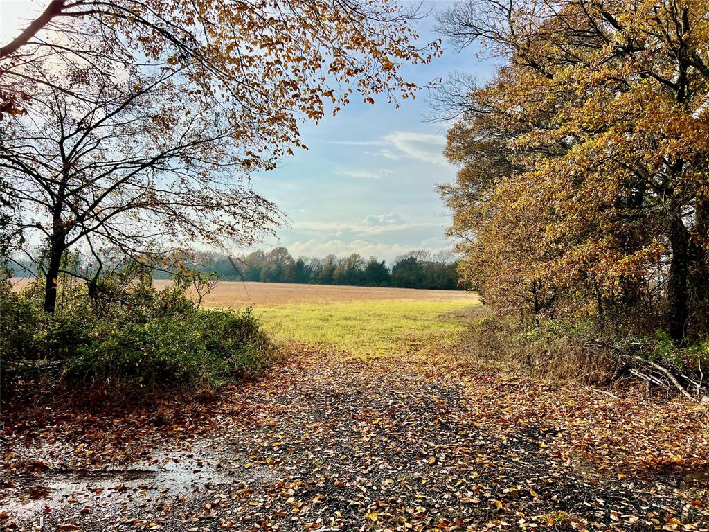 14.7 Ac Tbd Tx-154 Property Photo 2
