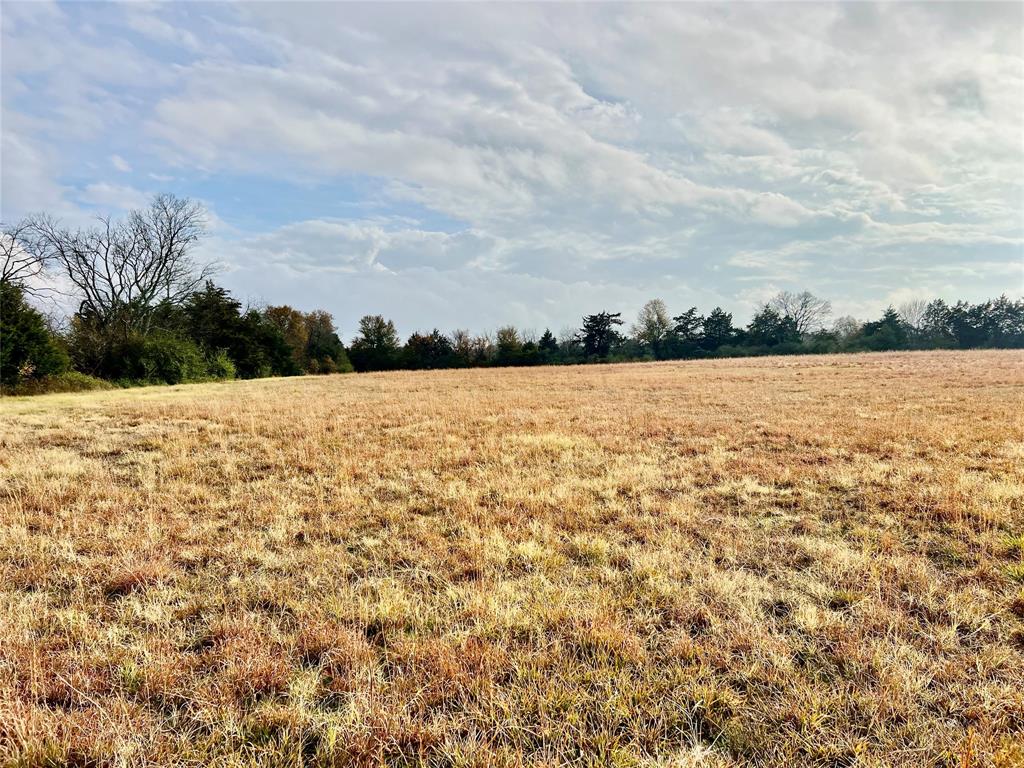 14.7 Ac Tbd Tx-154 Property Photo 3