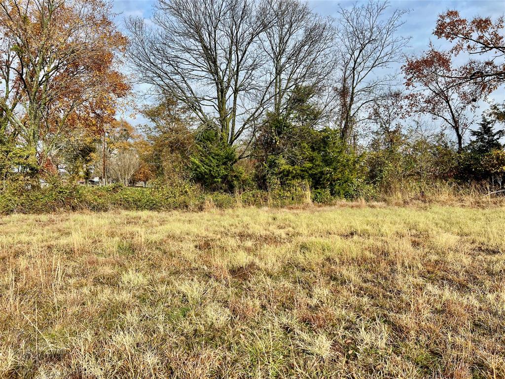 14.7 Ac Tbd Tx-154 Property Photo 4
