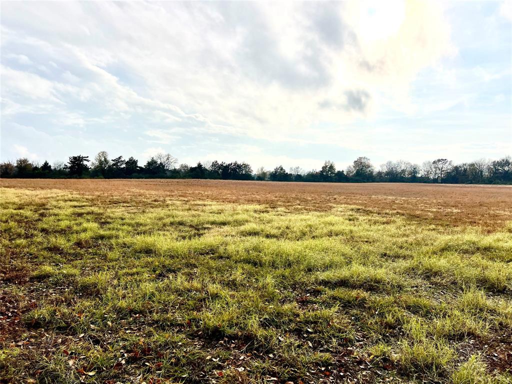 14.7 Ac Tbd Tx-154 Property Photo 5