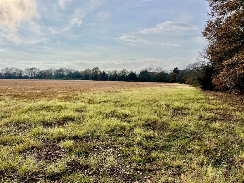 14.7 Ac Tbd Tx-154 Property Photo 6