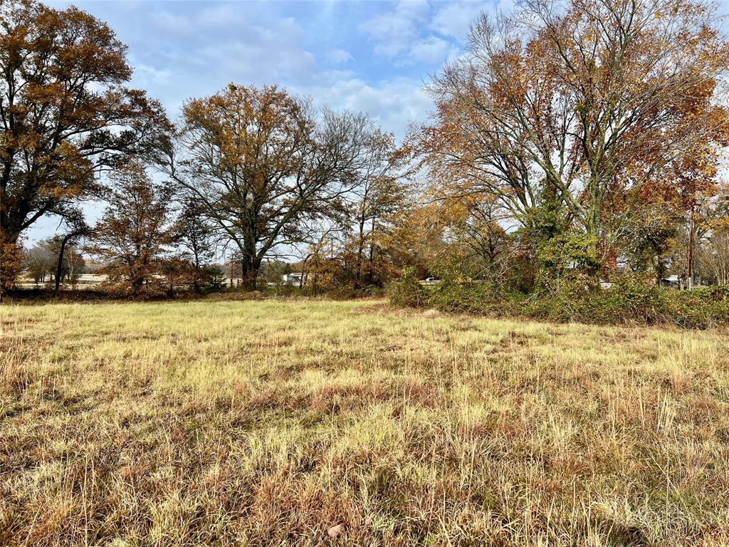 14.7 Ac Tbd Tx-154 Property Photo 7