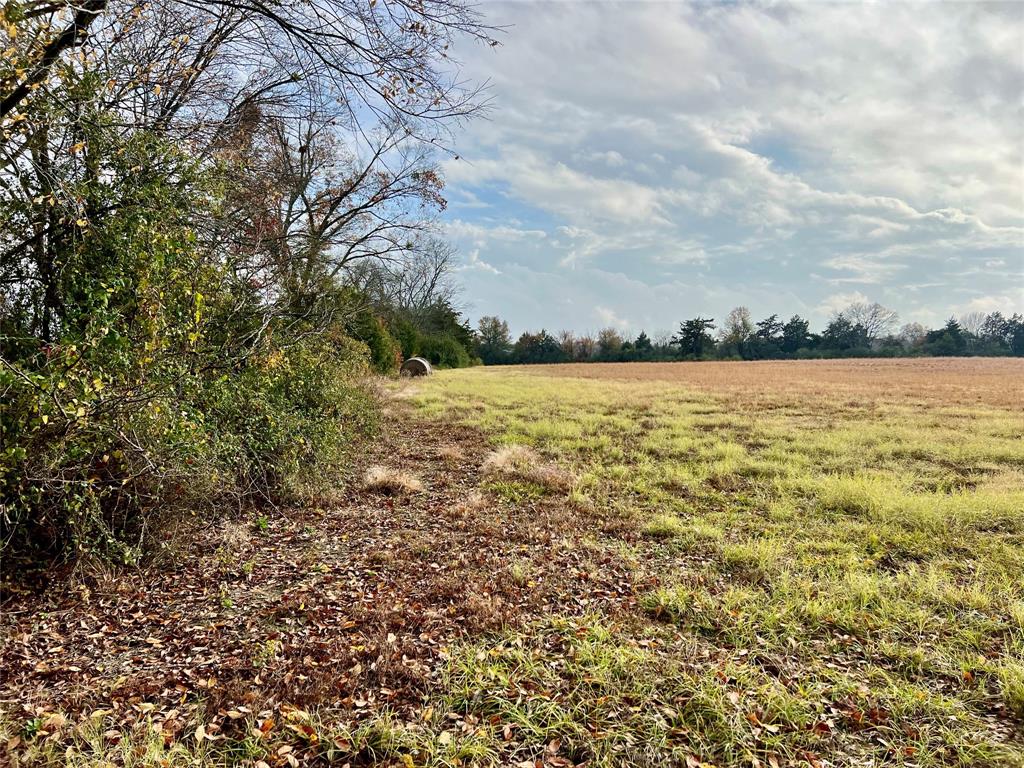 14.7 Ac Tbd Tx-154 Property Photo 8