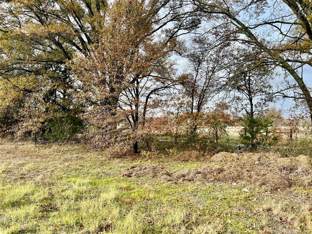 14.7 Ac Tbd Tx-154 Property Photo 9