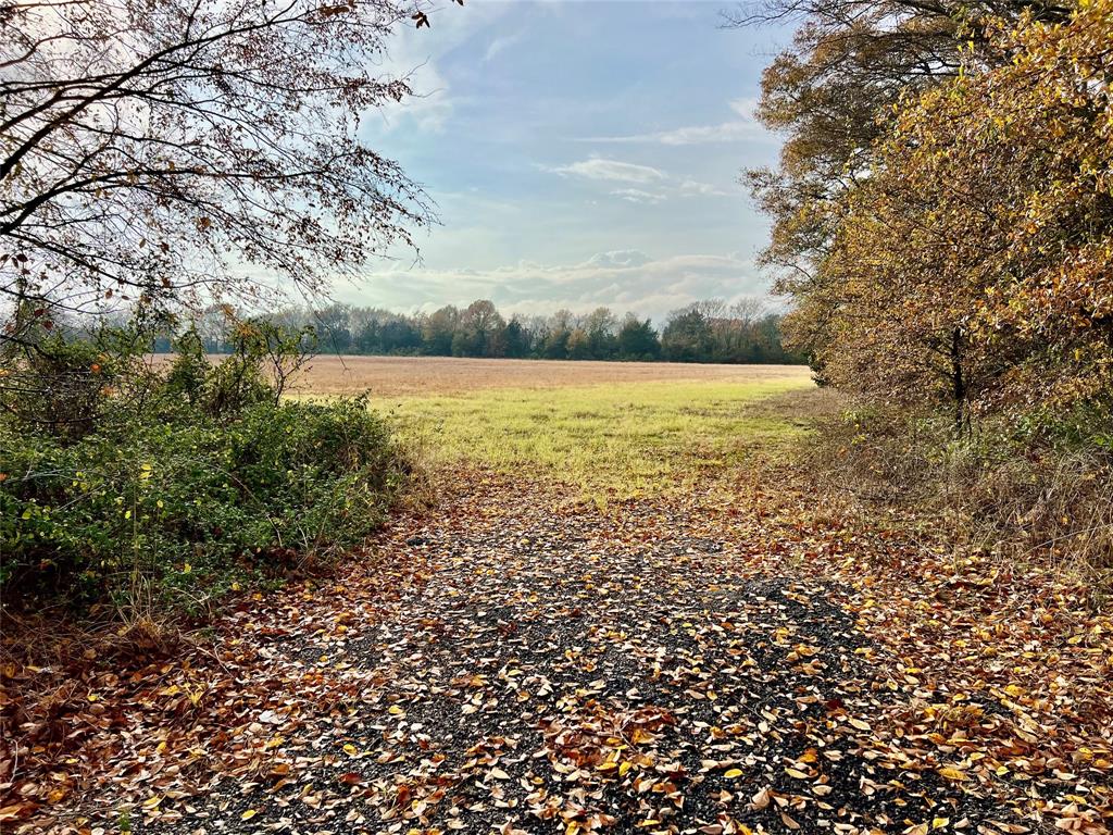 14.7 Ac Tbd Tx-154 Property Photo 11