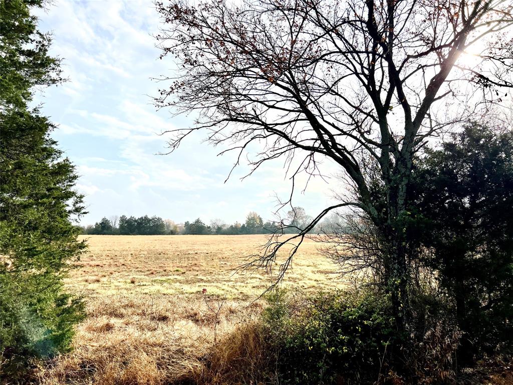 14.7 Ac Tbd Tx-154 Property Photo 13