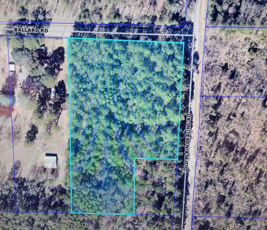0 Old Plain Dealing Road Property Photo