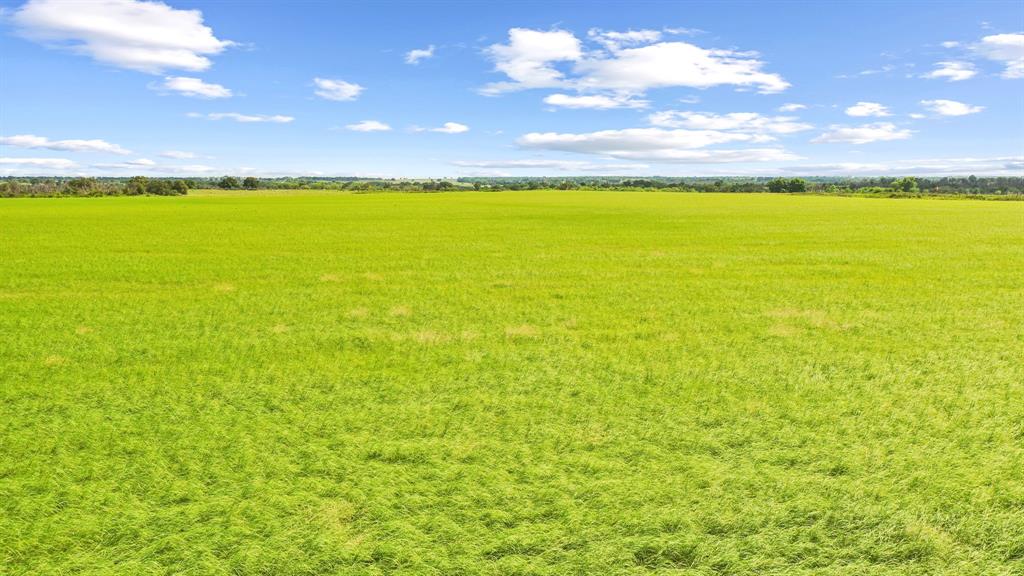 Tbd Fm 2689 Property Photo 2