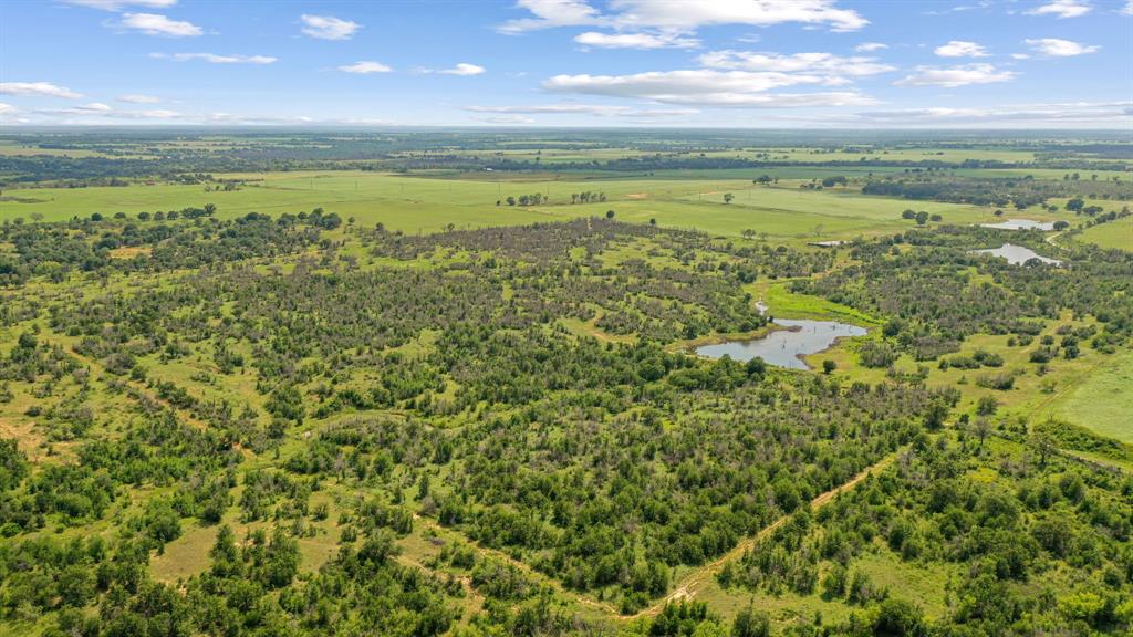 Tbd Fm 2689 Property Photo 17