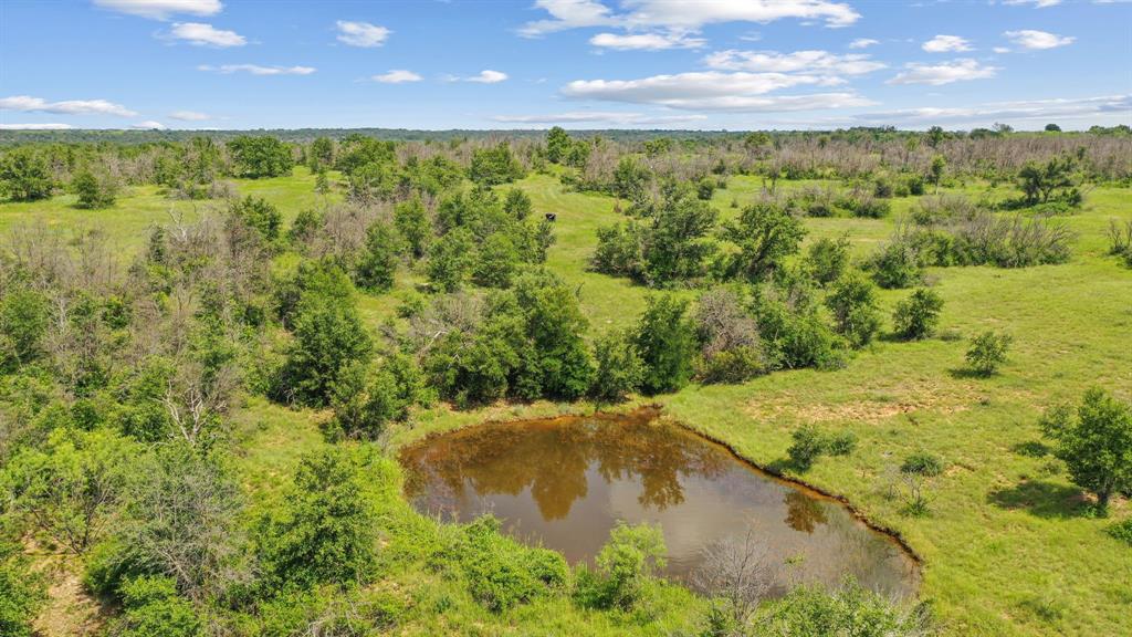 Tbd Fm 2689 Property Photo 29