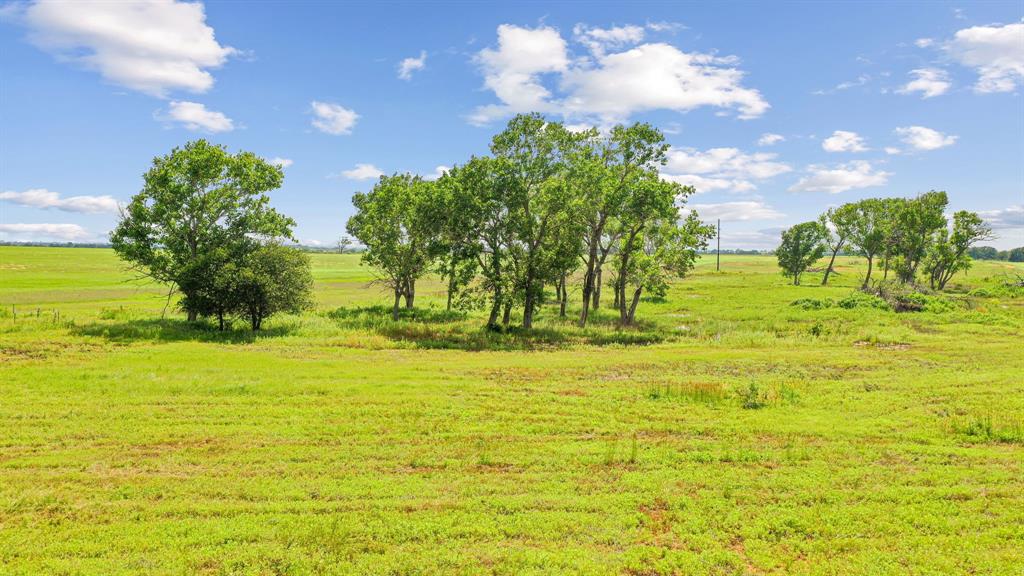 Tbd Fm 2689 Property Photo 34