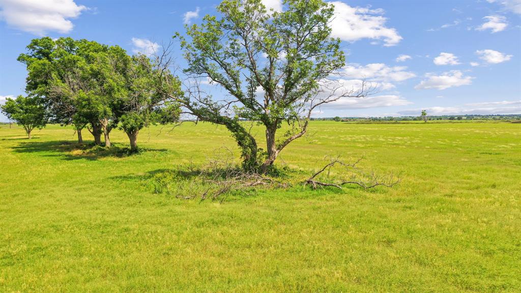 Tbd Fm 2689 Property Photo 36