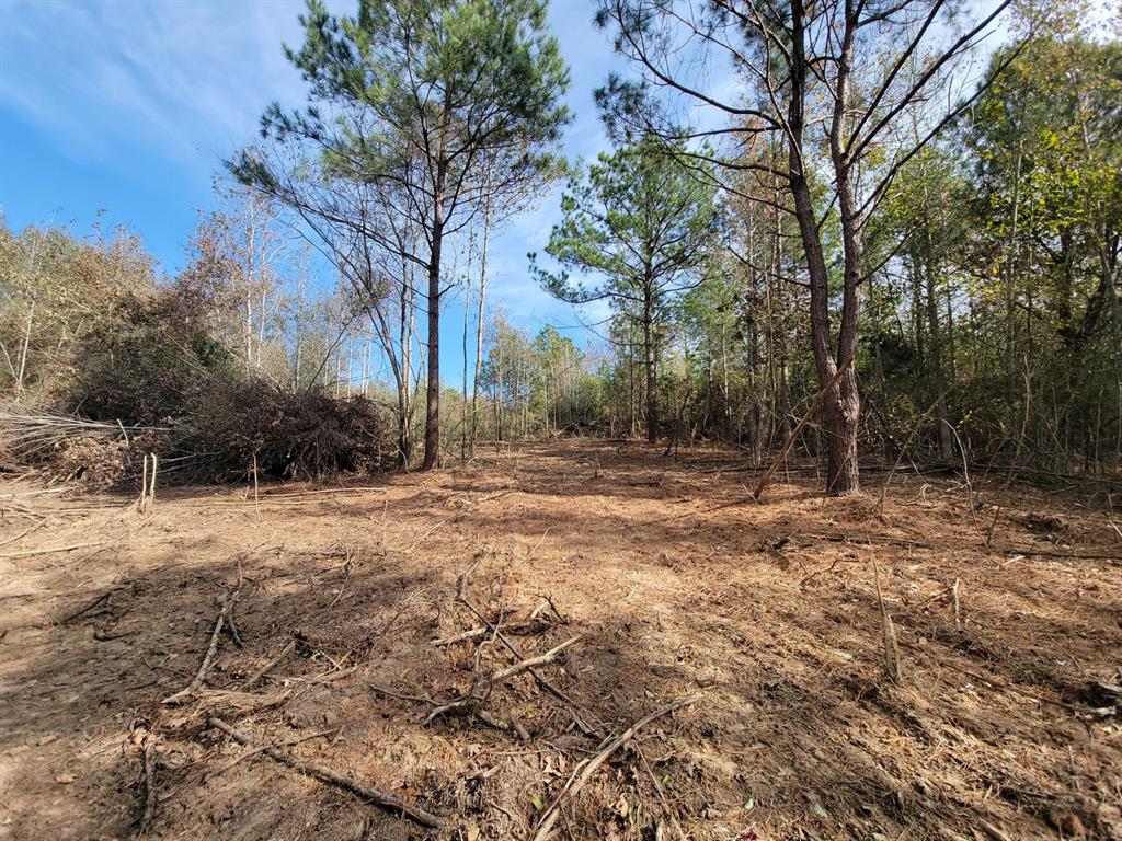 1 Fm 2261 Property Photo 6