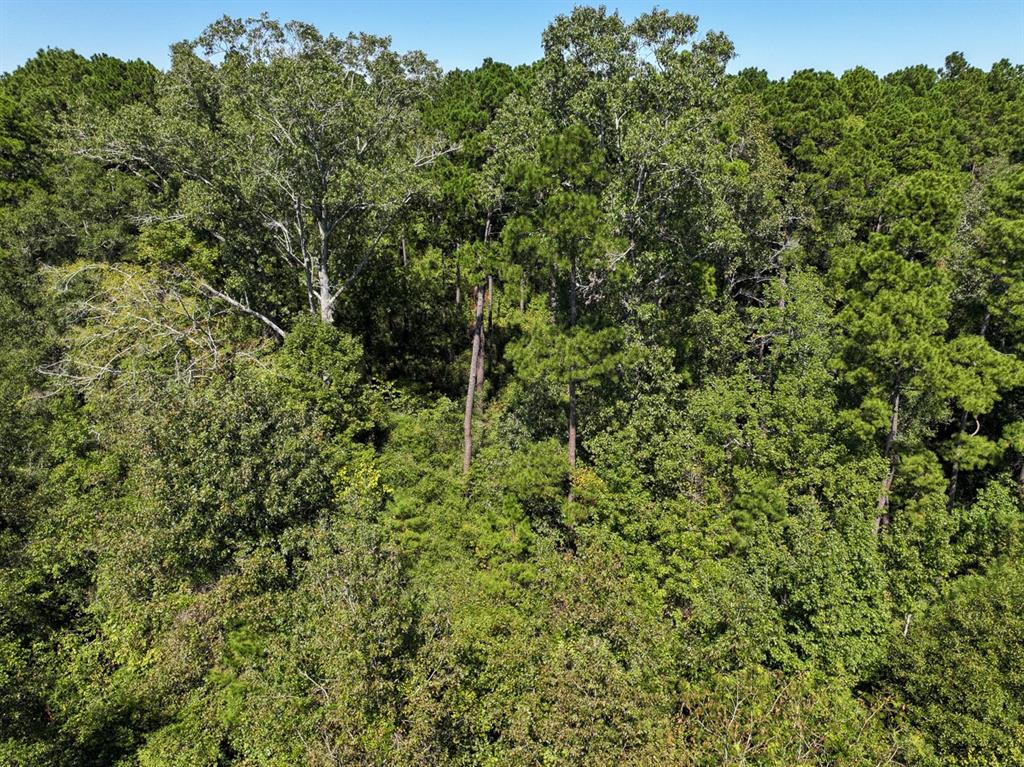 1 Fm 2261 Property Photo 19