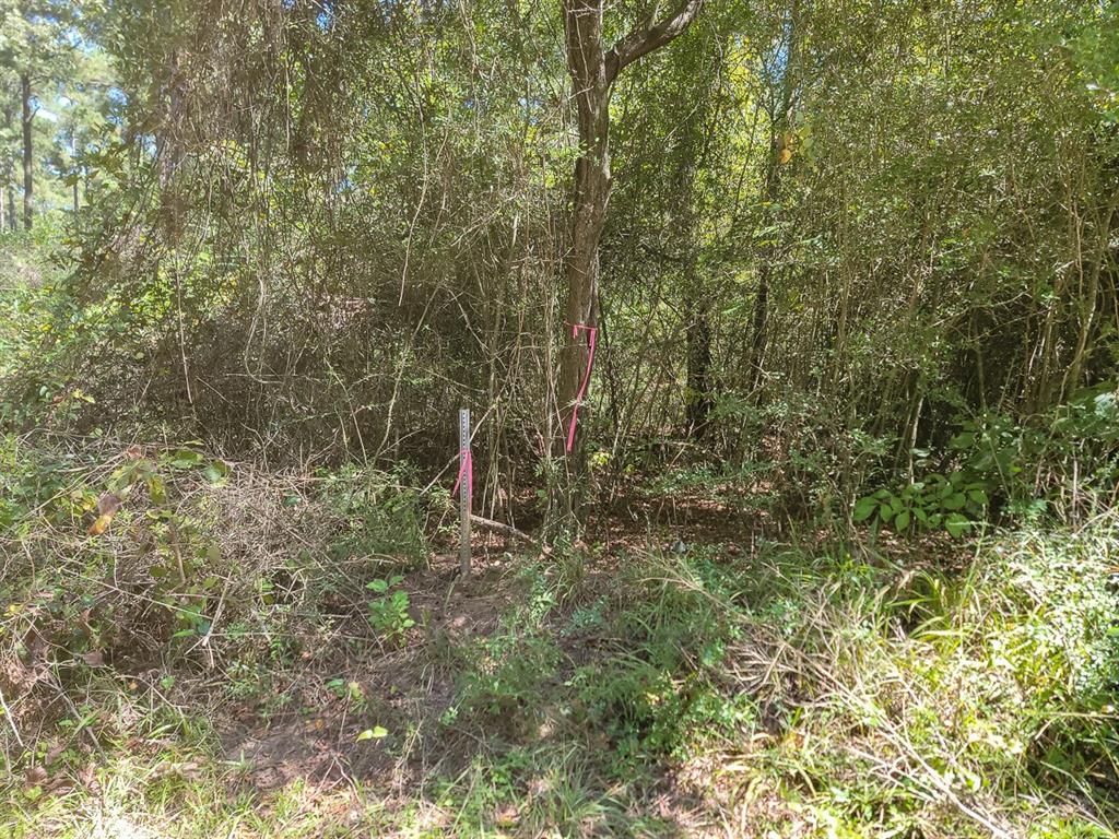 1 Fm 2261 Property Photo 28