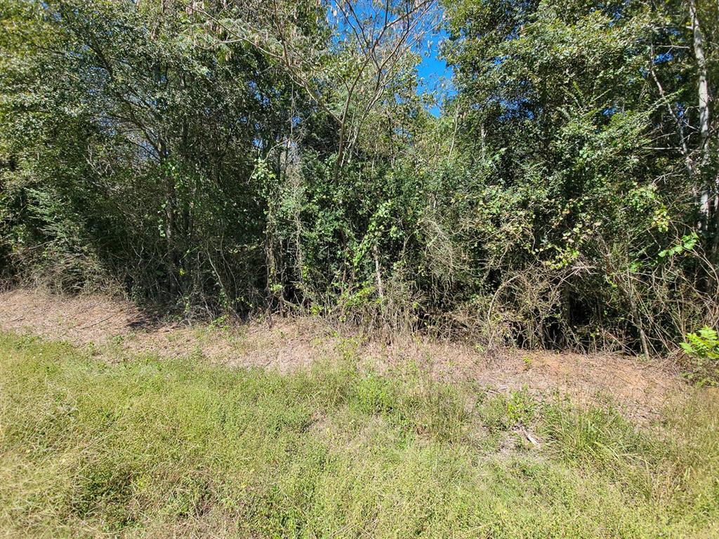 1 Fm 2261 Property Photo 31