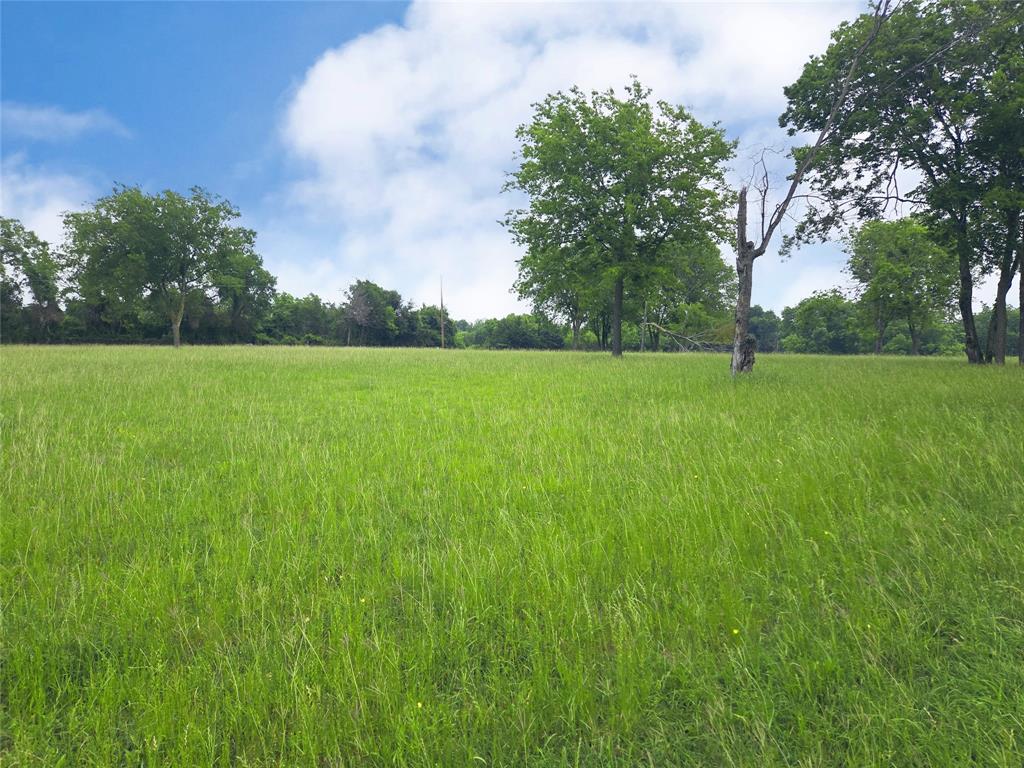 Lot 5 & 6 Francisco Bay Drive Property Photo 8