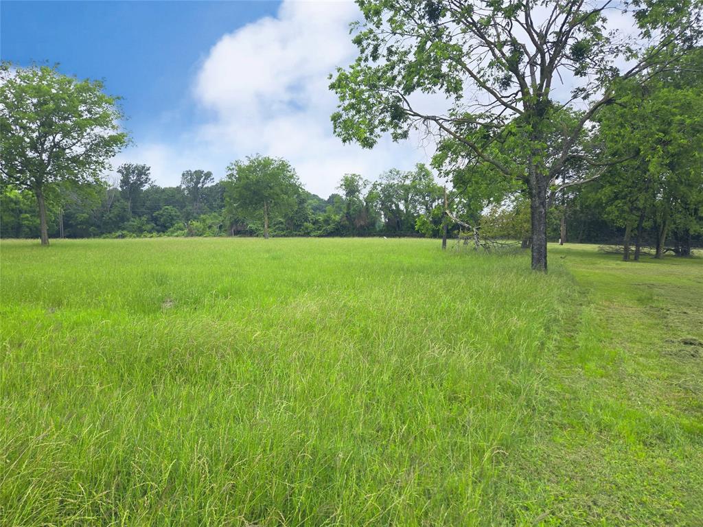 Lot 5 & 6 Francisco Bay Drive Property Photo 23