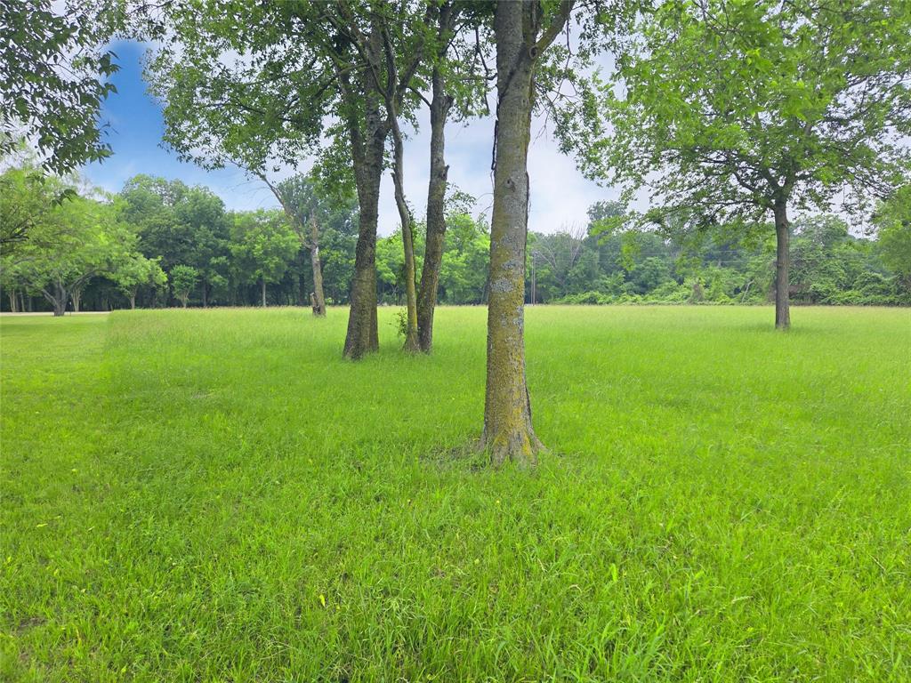 Lot 5 & 6 Francisco Bay Drive Property Photo 28