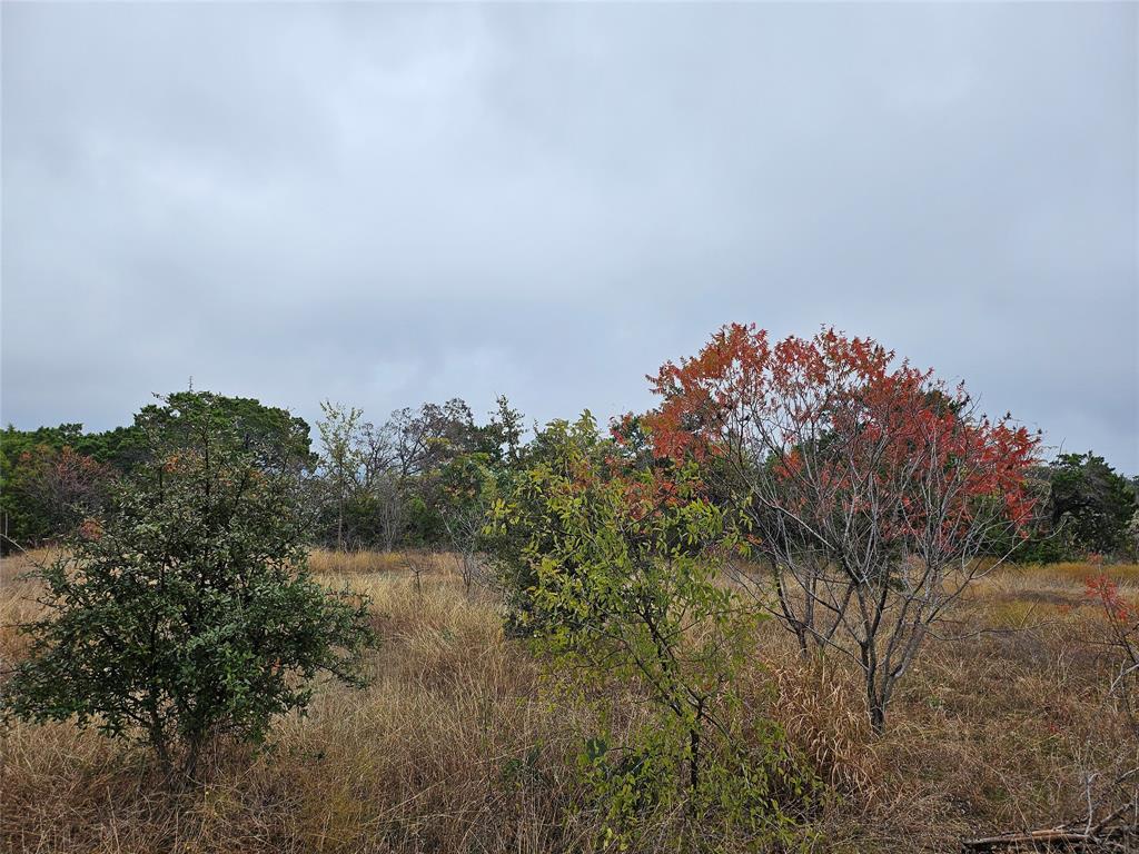 Tbd Private Road 1212 Property Photo 1