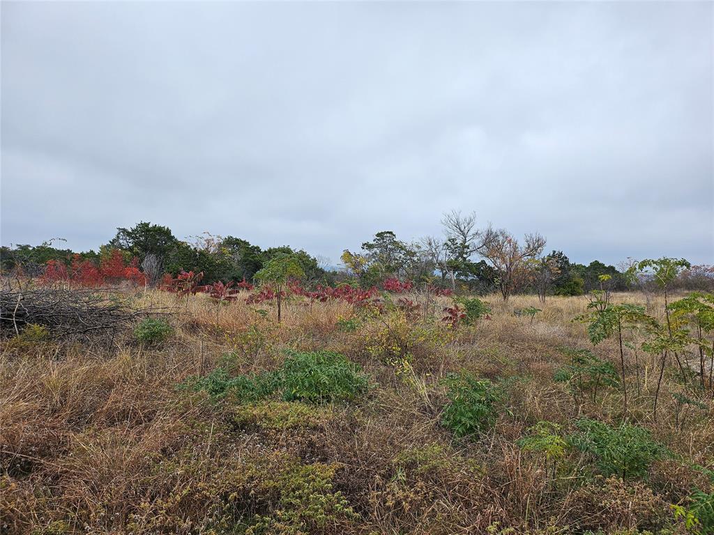 Tbd Private Road 1212 Property Photo 2