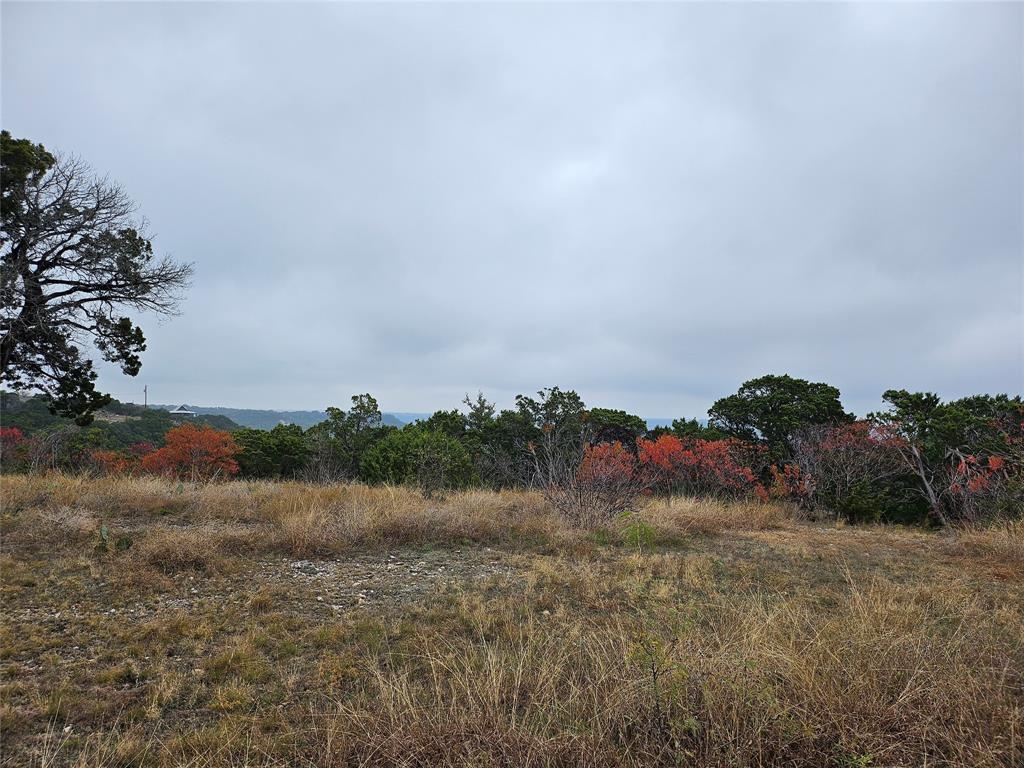 Tbd Private Road 1212 Property Photo 3