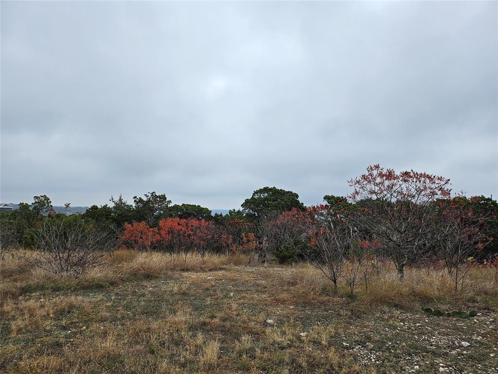Tbd Private Road 1212 Property Photo 4