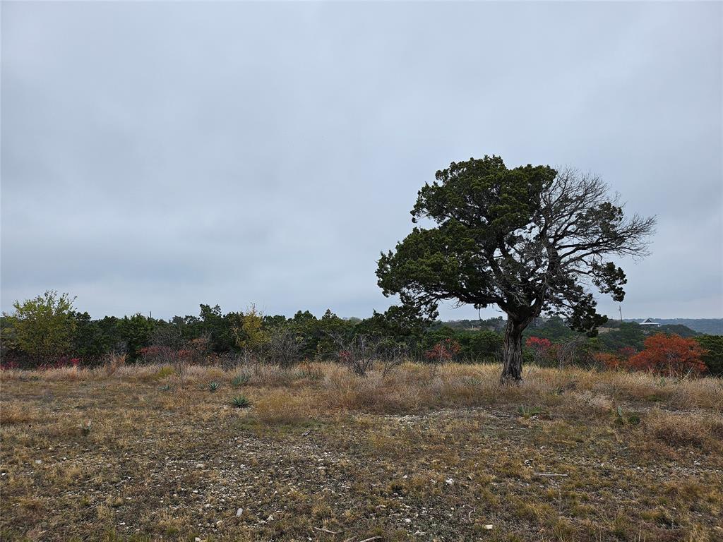 Tbd Private Road 1212 Property Photo 5