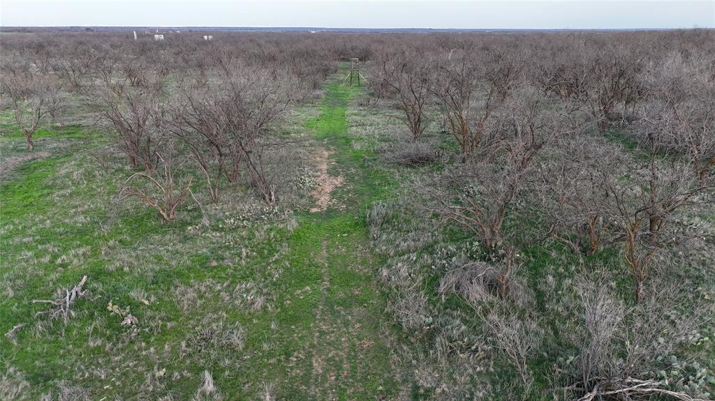Tbd Cr 334 Property Photo 4