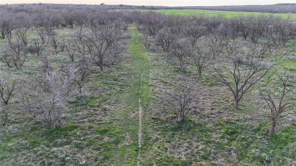 Tbd Cr 334 Property Photo 5