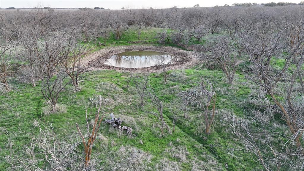 Tbd Cr 334 Property Photo 6
