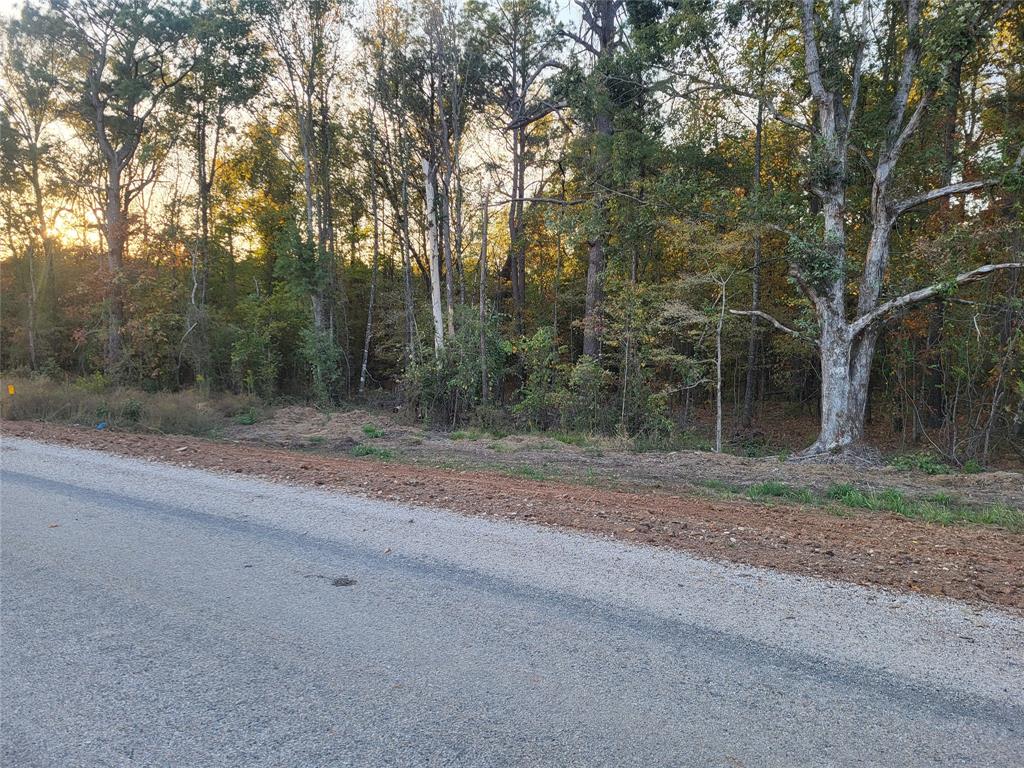 4184 Fm 2120 Property Photo 1