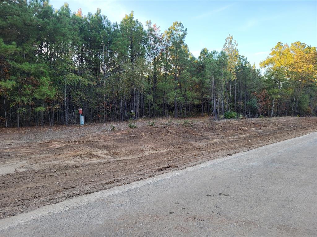 4184 Fm 2120 Property Photo 2