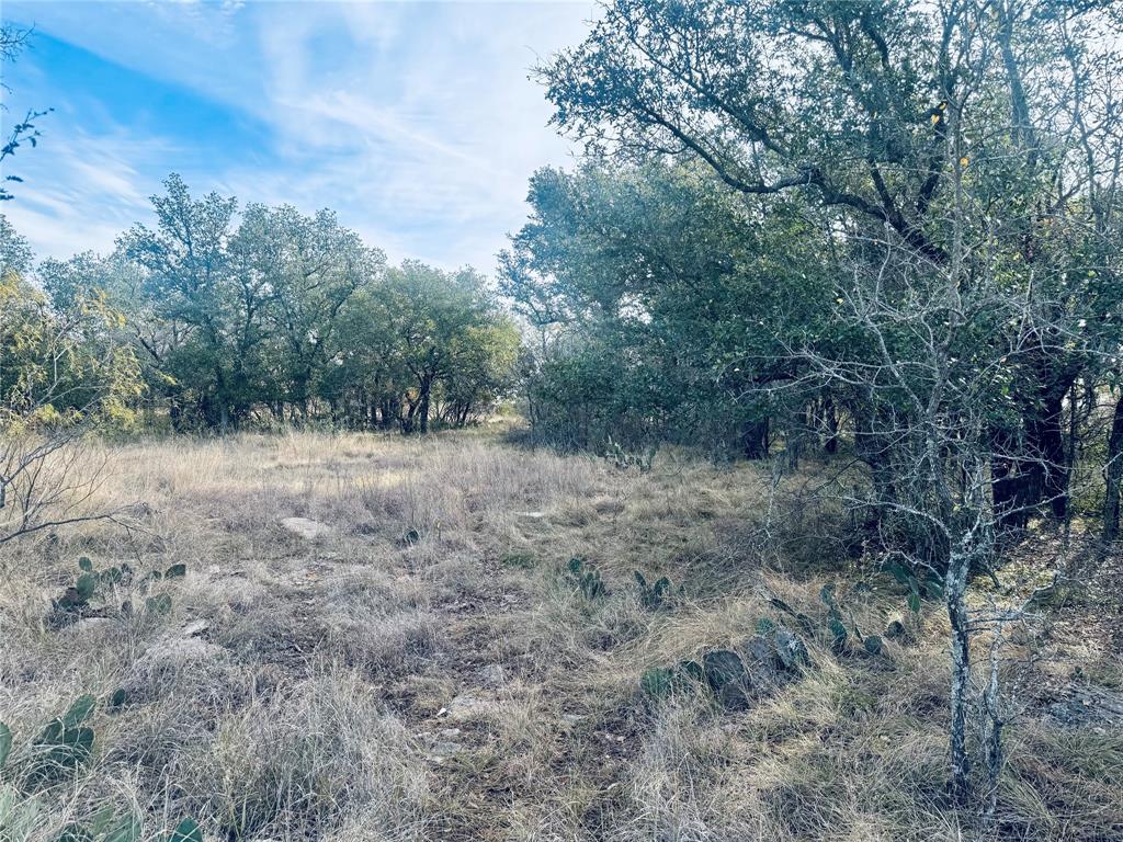 194 Willie B Drive Property Photo 4