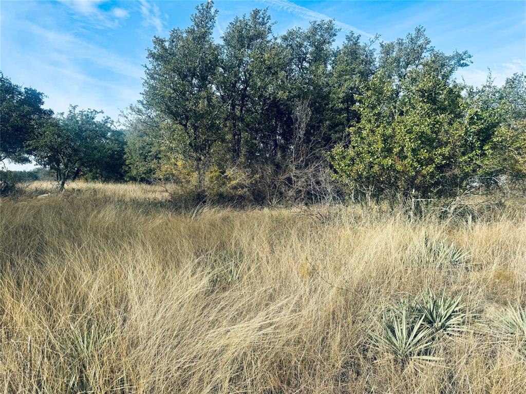 194 Willie B Drive Property Photo 7