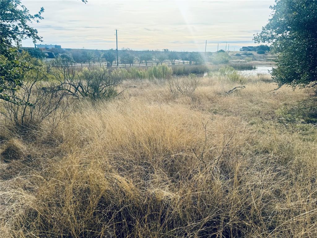 194 Willie B Drive Property Photo 8